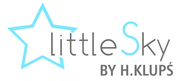 LittleSky logo